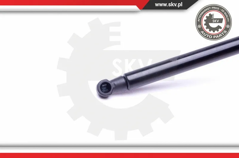 Gas Spring, boot/cargo area