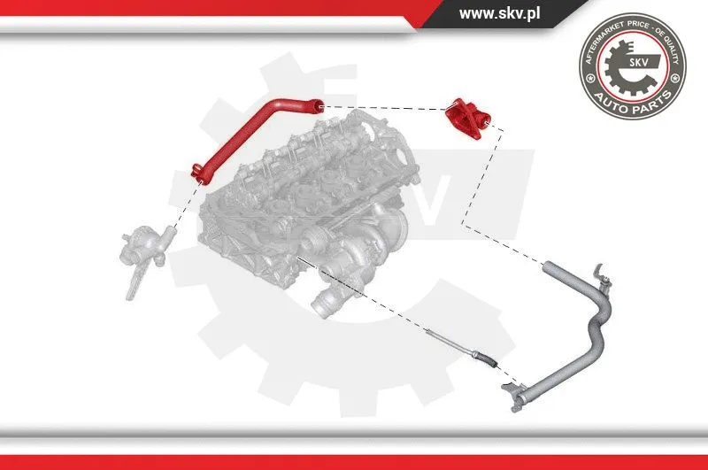 Radiator Hose