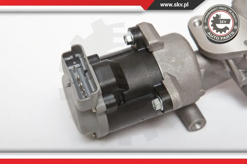 EGR Valve