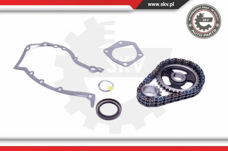 Timing Chain Kit