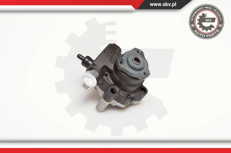 Hydraulic Pump, steering (10SKV094)