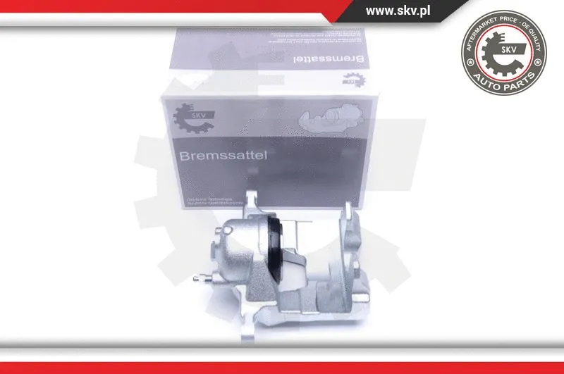 Brake Caliper (44SKV221)