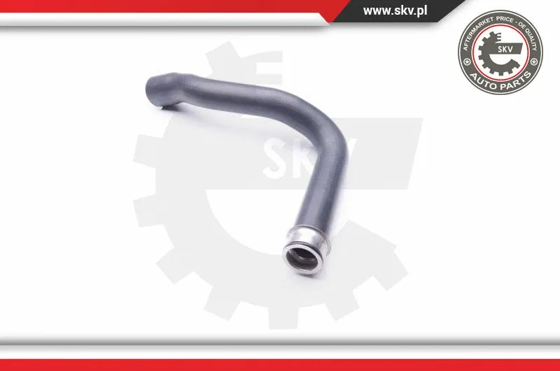 Radiator Hose (24SKV298)