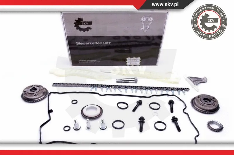 Timing Chain Kit (21SKV117)