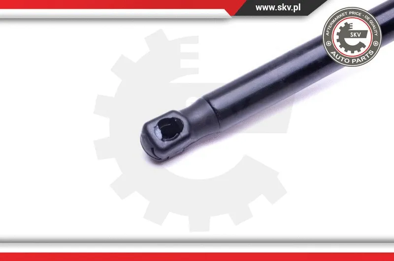 Gas Spring, boot/cargo area