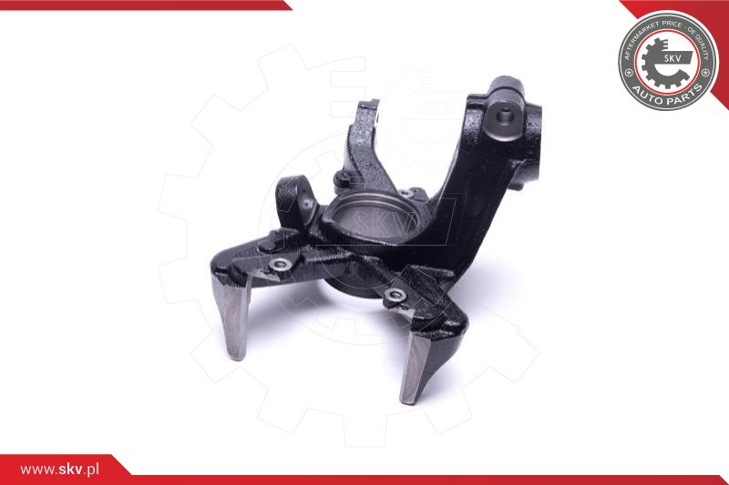 Steering Knuckle, wheel suspension