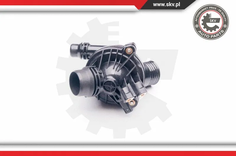 Thermostat, coolant