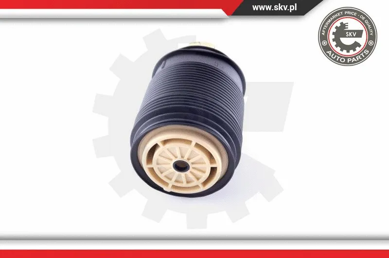 Air Spring, suspension