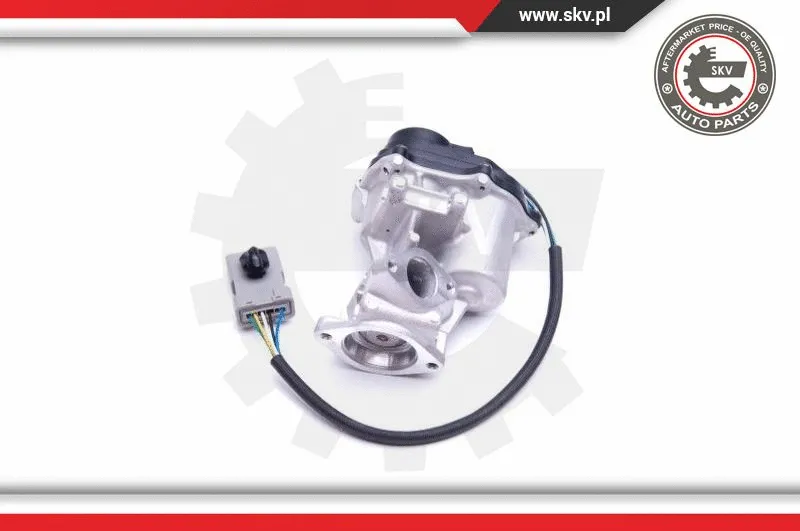 EGR Valve