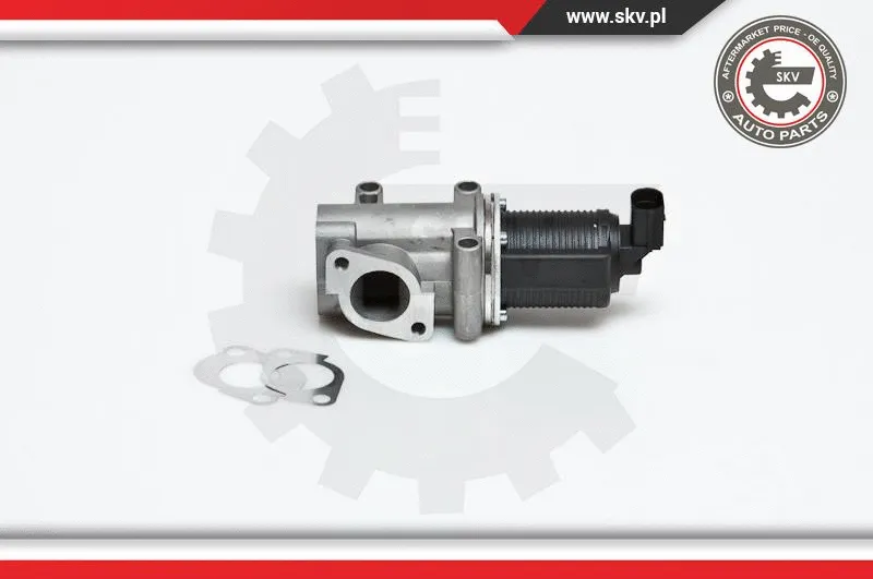 EGR Valve (14SKV006)