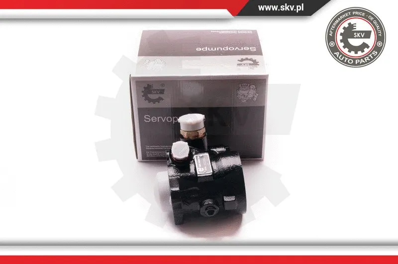 Hydraulic Pump, steering (1SKV0003)