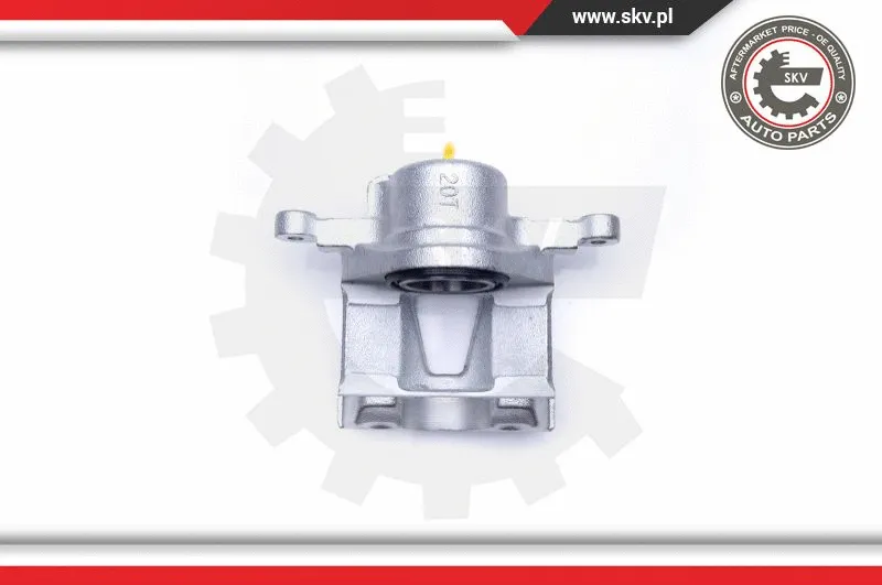 Brake Caliper (45SKV141)