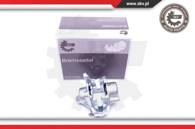 Brake Caliper (45SKV494)