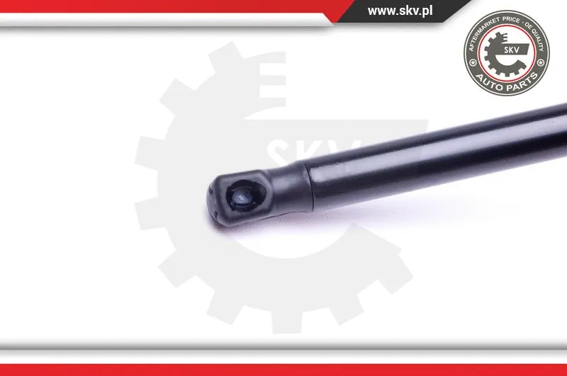 Gas Spring, boot/cargo area