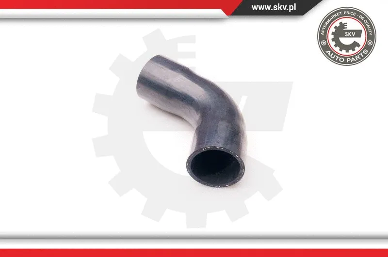 Charge Air Hose (24SKV134)