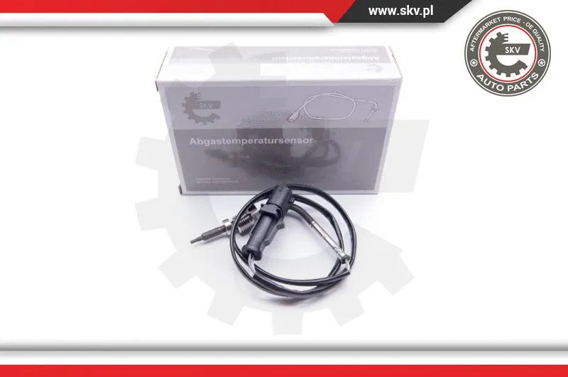 Sensor, exhaust gas temperature (30SKV075)