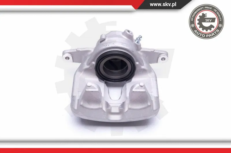 Brake Caliper (44SKV511)
