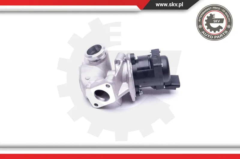 EGR Valve