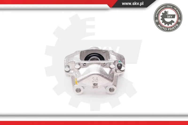 Brake Caliper (34SKV253)