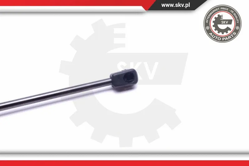 Gas Spring, boot/cargo area