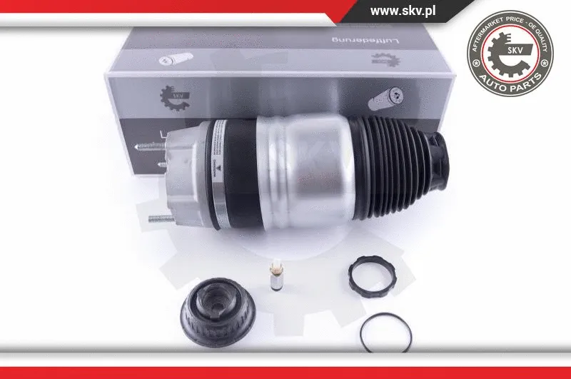 Air Spring, suspension (58SKV047)