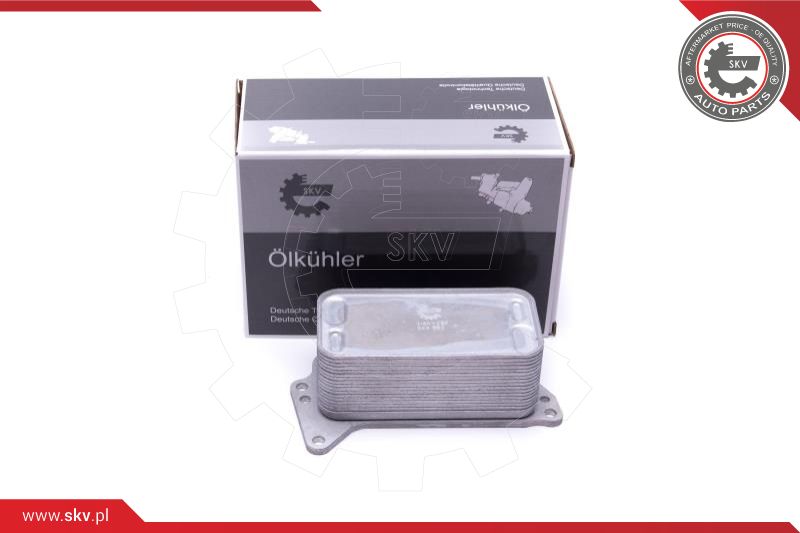 Oil Cooler, engine oil (31SKV222)