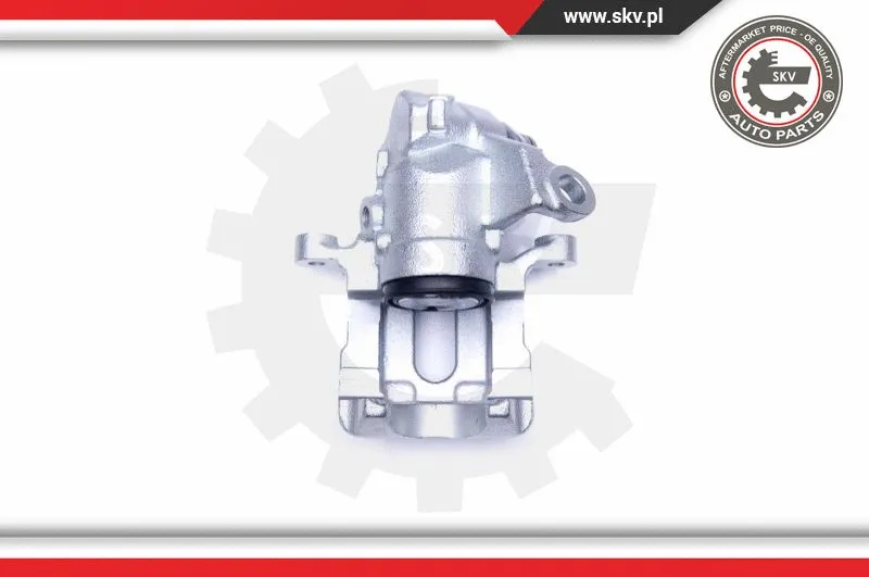 Brake Caliper (34SKV124)