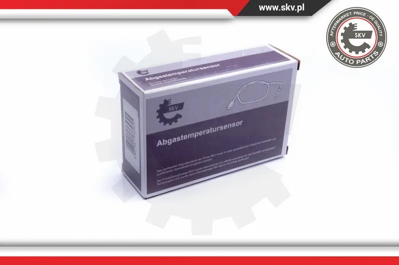 Sensor, exhaust gas temperature (30SKV014)