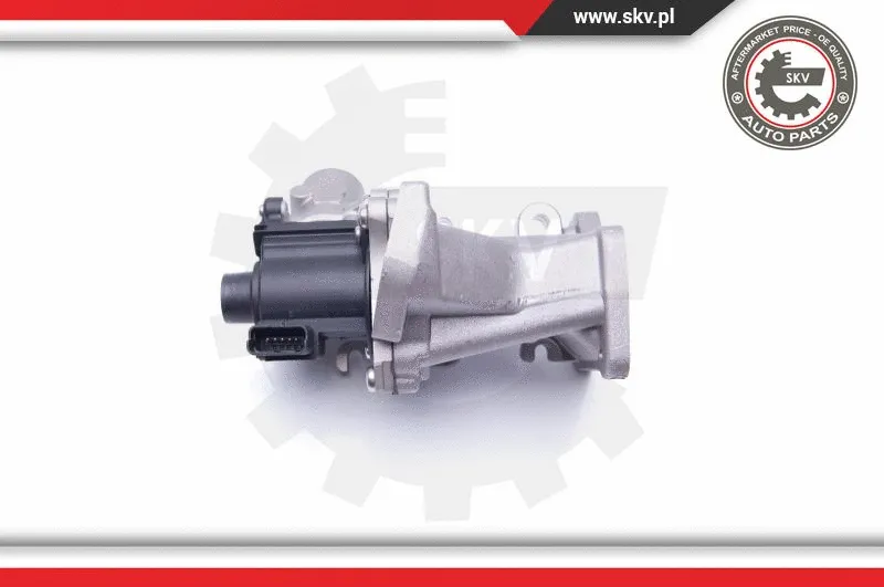 EGR Valve