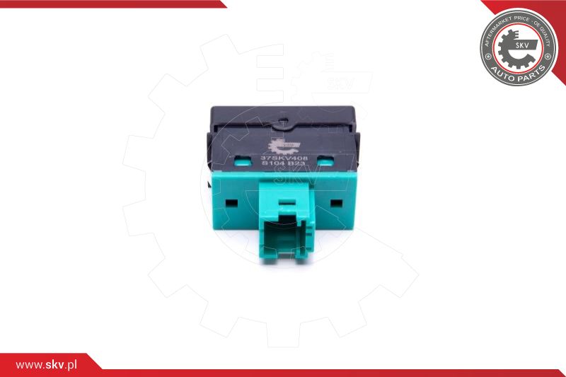 Switch, window regulator