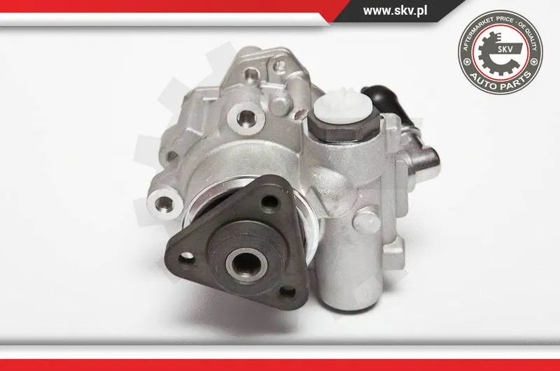 Hydraulic Pump, steering (10SKV015)