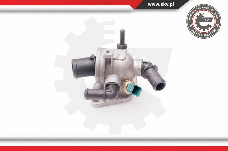 Thermostat, coolant