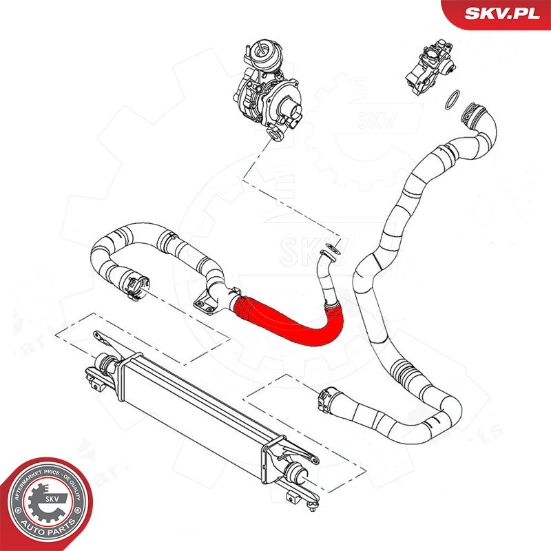Radiator Hose