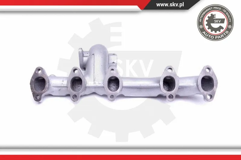Manifold, exhaust system