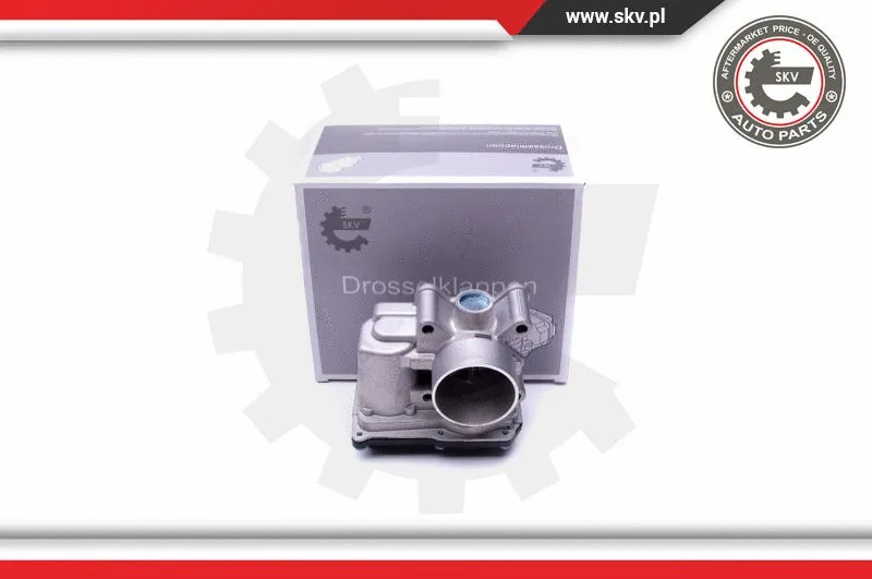 Throttle Body (12SKV076)