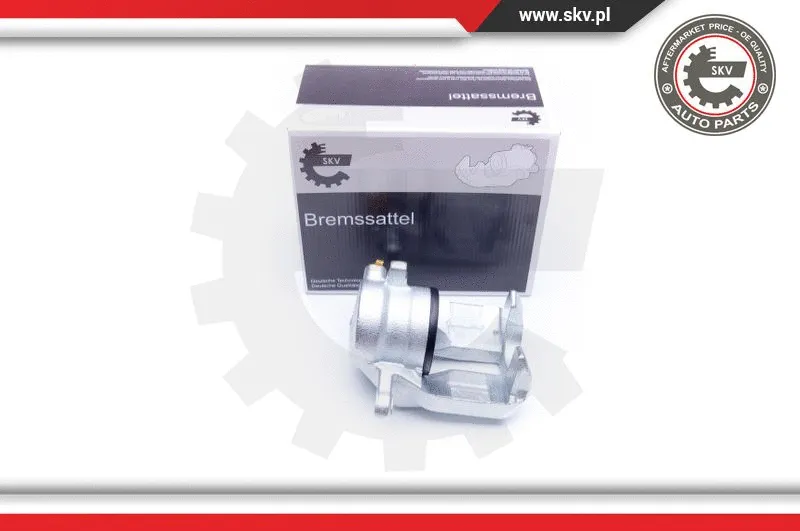 Brake Caliper (42SKV351)