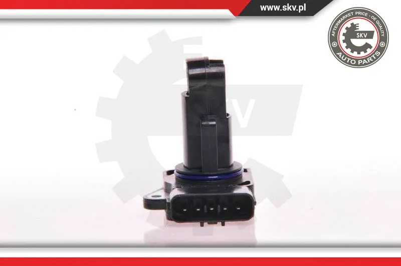 Mass Air Flow Sensor