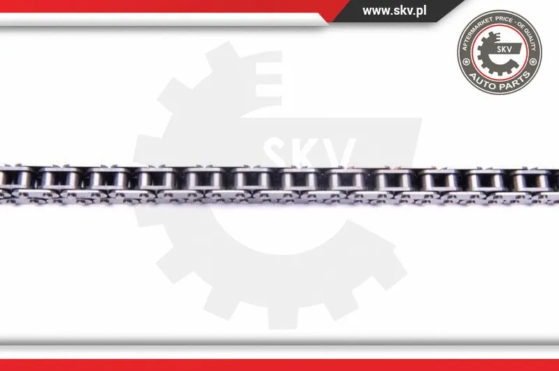 Timing Chain Kit