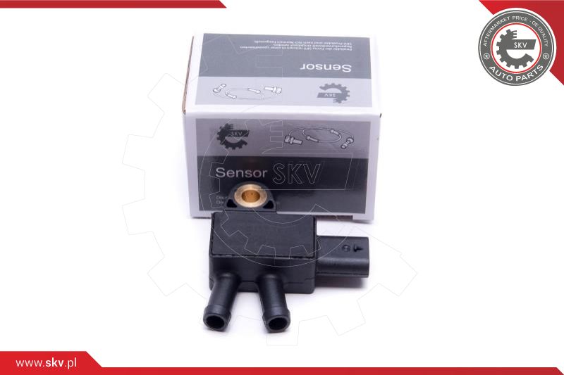 Sensor, exhaust pressure (17SKV776)