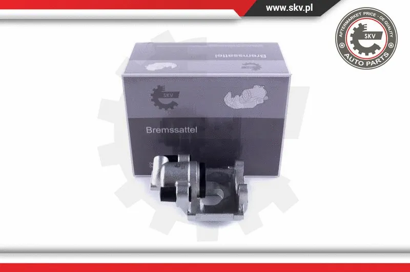 Brake Caliper (55SKV163)