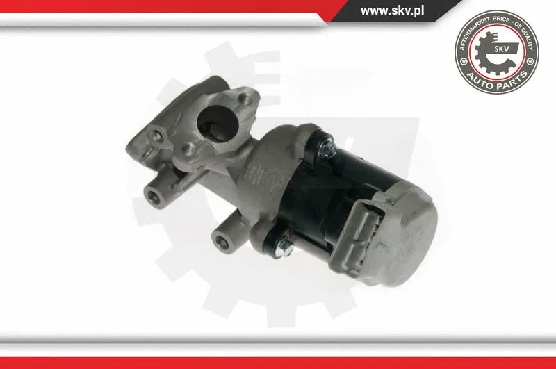 EGR Valve