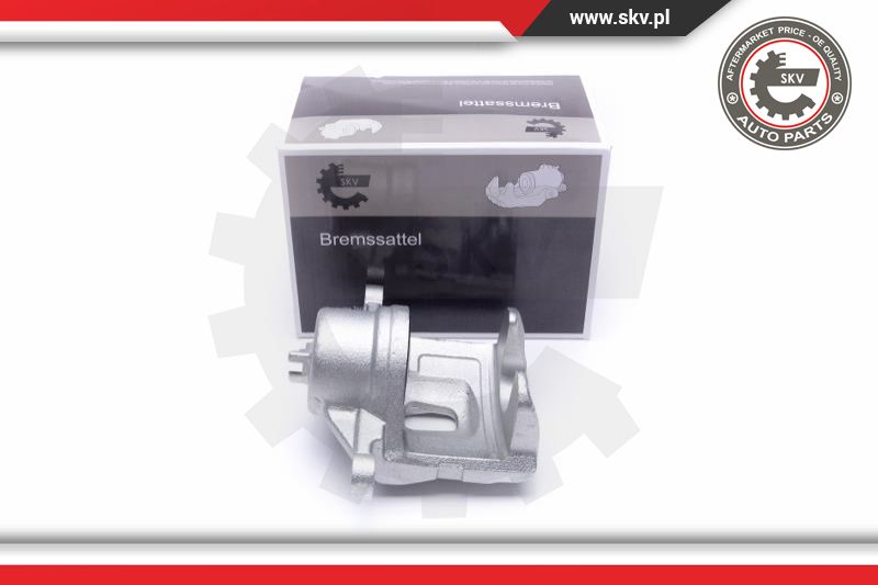Brake Caliper (46SKV842)