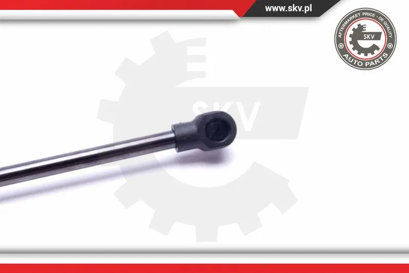 Gas Spring, boot/cargo area