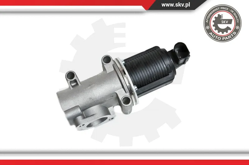 EGR Valve