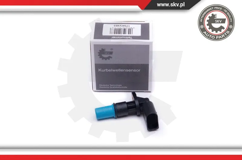 Sensor, camshaft position (17SKV483)