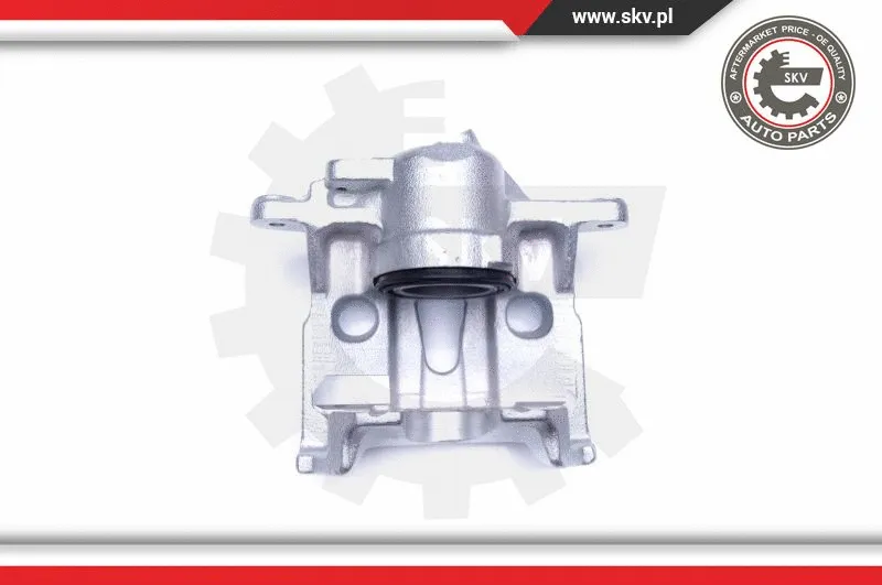 Brake Caliper (45SKV321)