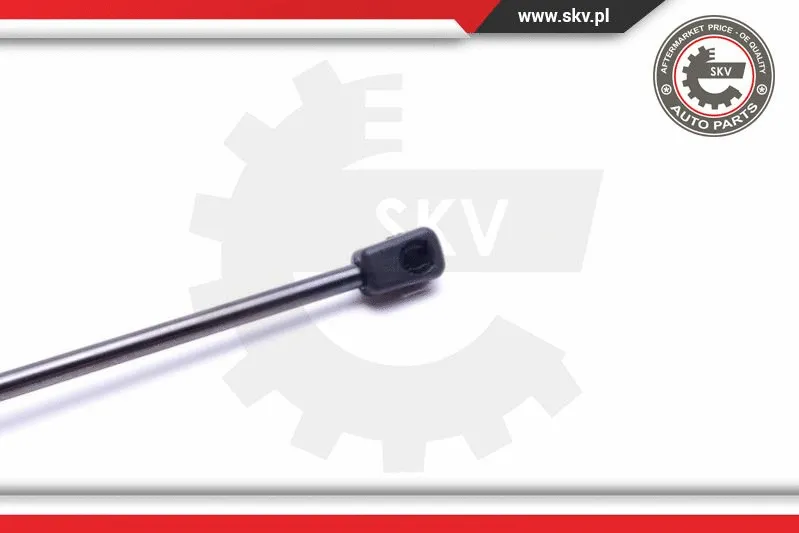 Gas Spring, boot/cargo area