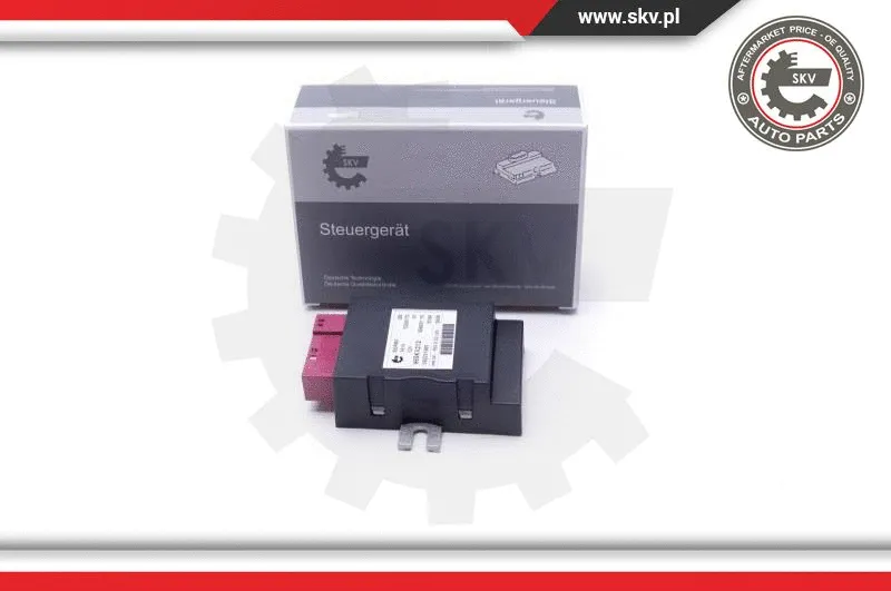 Control Unit, fuel pump (96SKV212)