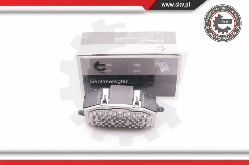 Resistor, interior blower (94SKV029)