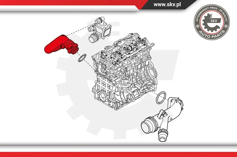 Radiator Hose
